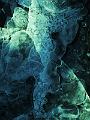 DSCF0010 (4)
